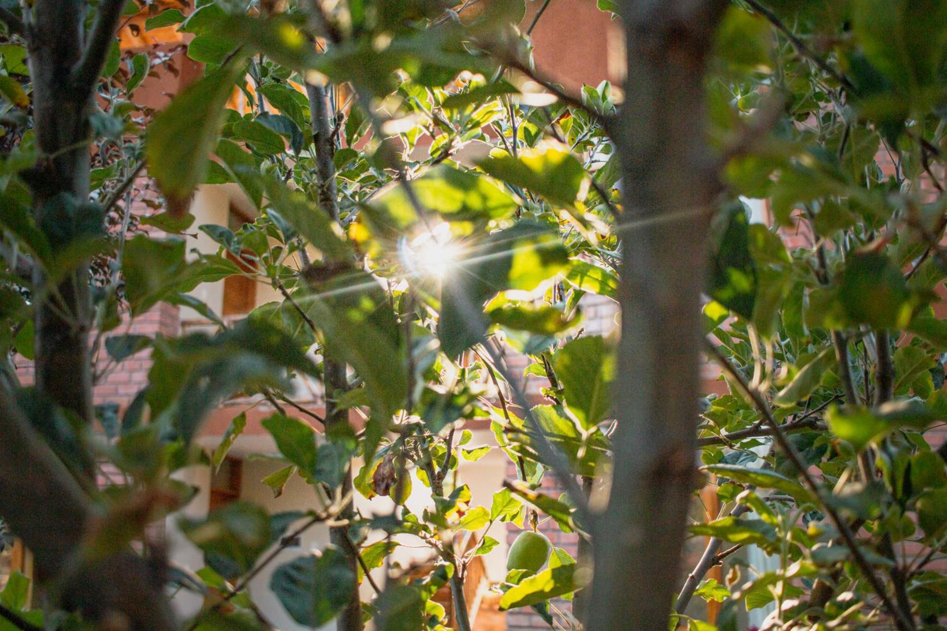 Allin Illary Eco Hospedaje Urubamba Zewnętrze zdjęcie